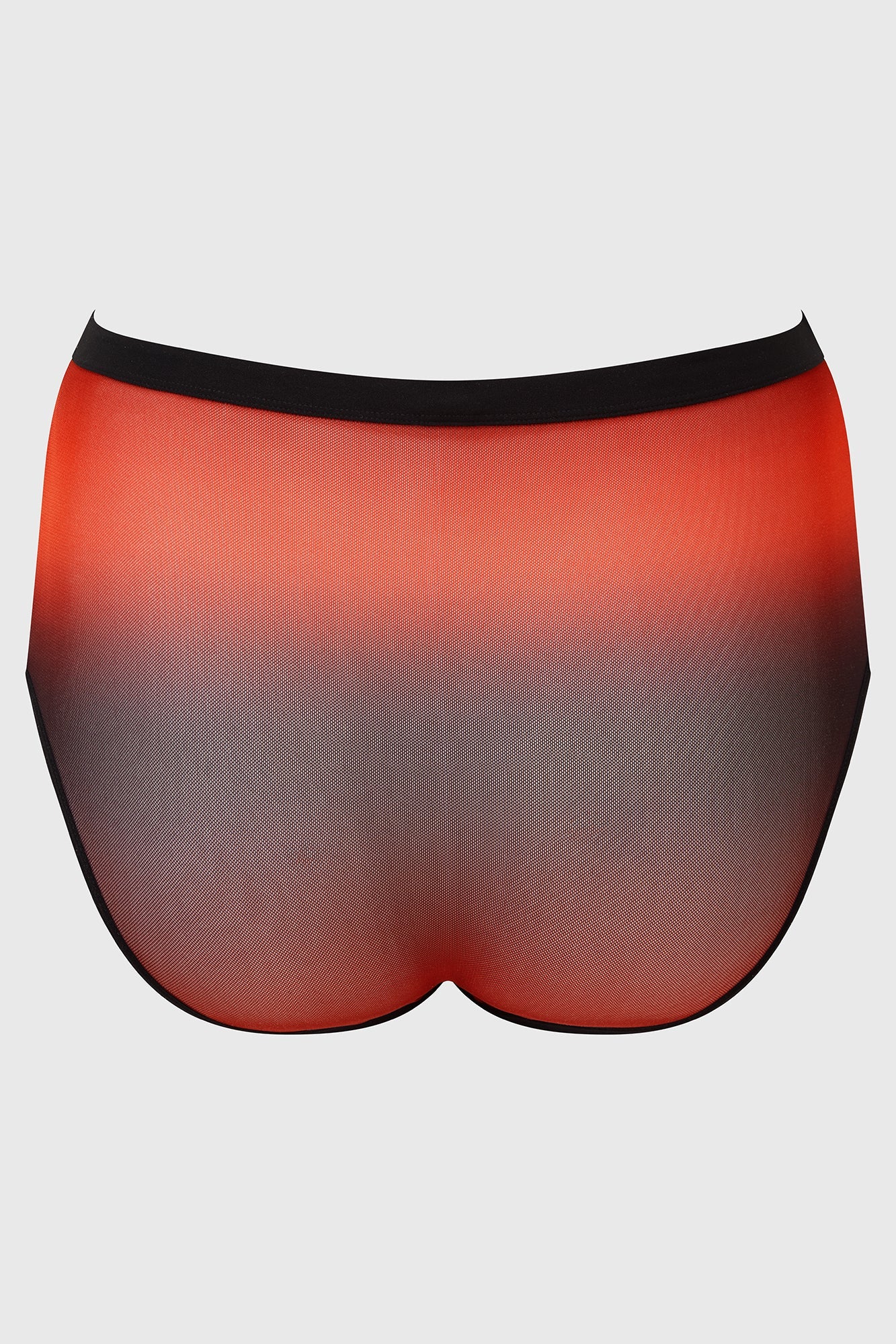 Dazzling Performance Panty - Image 5