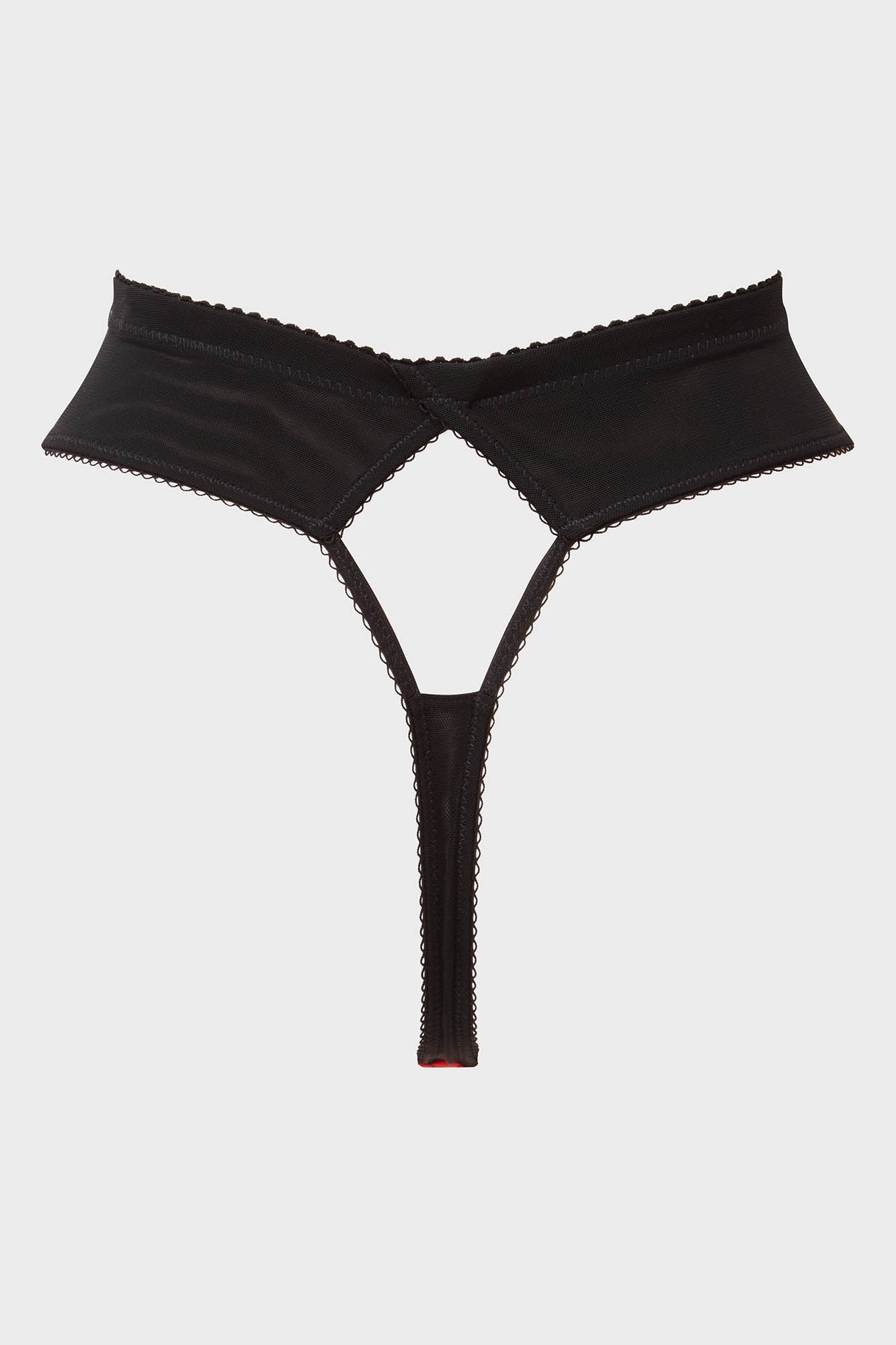 Scarlet Webutant Panty - Image 5